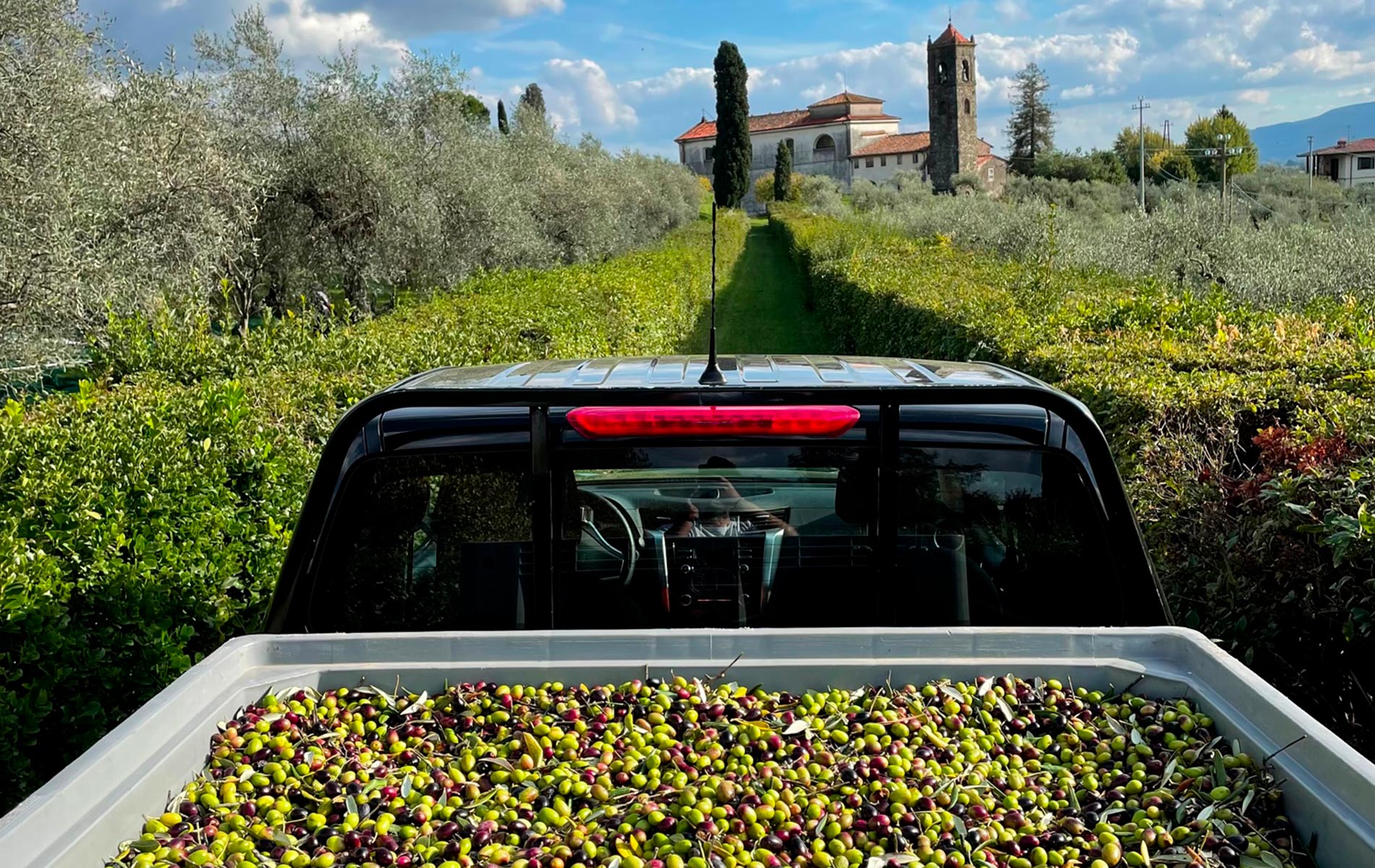 furgone tenuta sarava